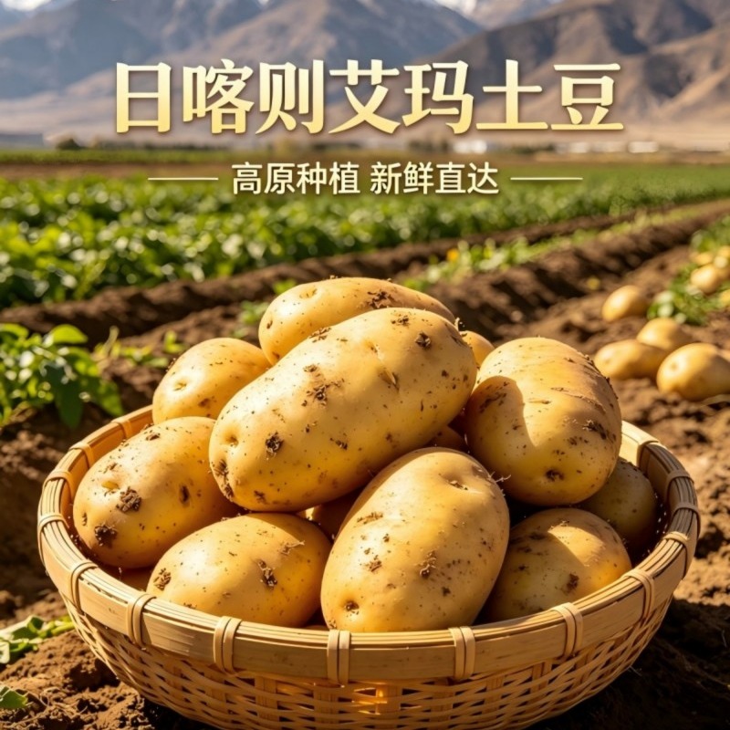 艾玛土豆（日喀则）|1000g/袋、2500g/袋（新鲜）