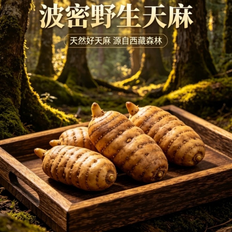 波密天麻（干货）|野生天麻|西藏波密
