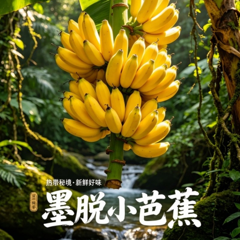 墨脱小芭蕉 西藏雨林种植 软糯香甜 皮薄籽少 新鲜应季热带水果 产地直供